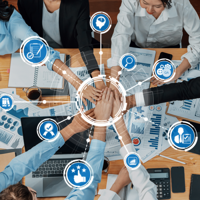 Risk Management & Mitigation